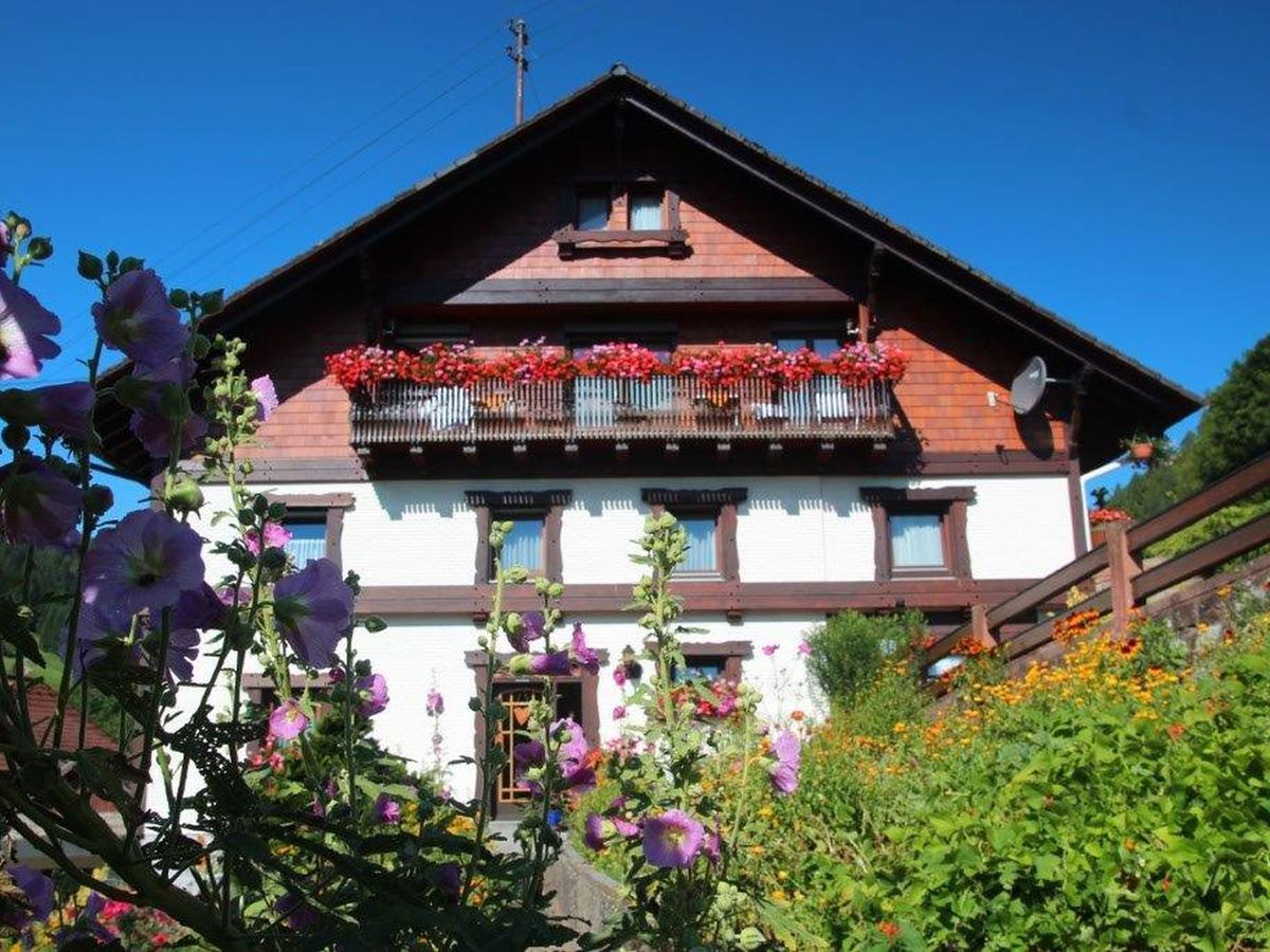 Gaestehaus Heimenberg Bad Rippoldsau-Schapbach Экстерьер фото