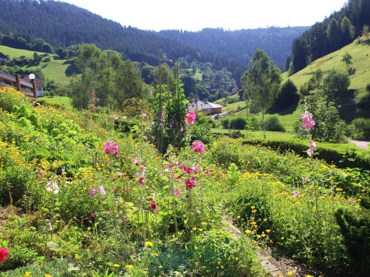 Gaestehaus Heimenberg Bad Rippoldsau-Schapbach Экстерьер фото